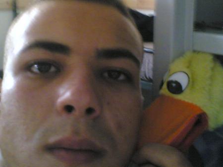 compagnion